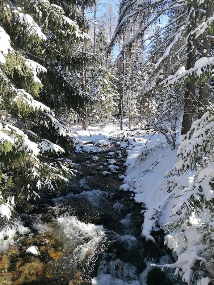 Horska Chata Ziaranka Liptovsky Mikulas Bagian luar foto