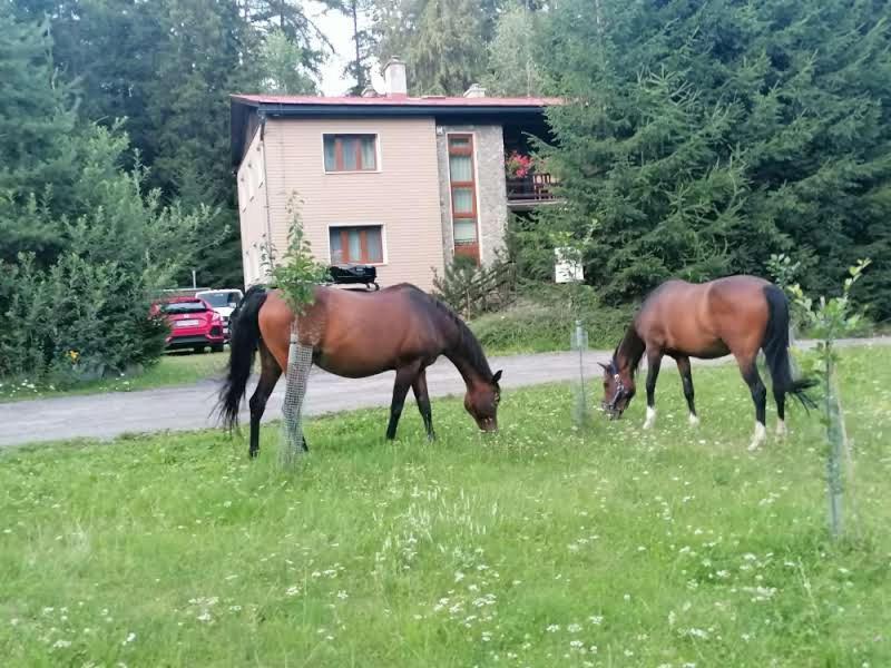 Horska Chata Ziaranka Liptovsky Mikulas Bagian luar foto